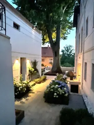 Ein Garten an der Unterkunft Atelierhaus in Dresden Loschwitz