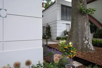 Ein Garten an der Unterkunft Atelierhaus in Dresden Loschwitz
