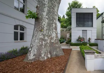 Ein Garten an der Unterkunft Atelierhaus in Dresden Loschwitz