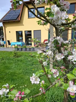 Ein Garten an der Unterkunft Ferienwohnung EnergiePunkt am Planitzwald