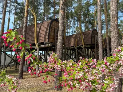 Ein Garten an der Unterkunft Hafencamp Senftenberger See