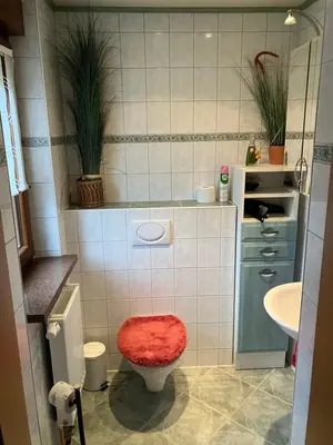 Ein Badezimmer in der Unterkunft Ferienwohnung am Lehnberg, Familie Richter
