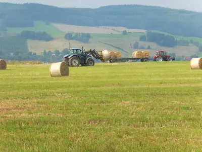 Naturlandschaft in der Nähe der Ferienwohnung