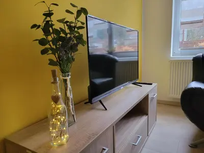 TV/Unterhaltungsangebot in der Unterkunft Ferienwohnung am Wald