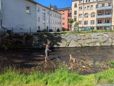 Ein Garten an der Unterkunft Zi2 - Urlaubsmagie - Flussblickwohnung mit Pool& Sauna