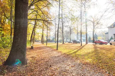 Ein Garten an der Unterkunft StadtNatur Apartment am Küchwald - 2 SZ mit Balkon, WASCHMASCHINE, Streaming-TV, Badewanne, Arbeitsplatz