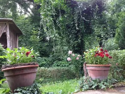 Ein Garten an der Unterkunft Heiterer Blick am Malerweg Pirna