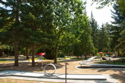 Ein Garten an der Unterkunft Haus Pittiplatsch