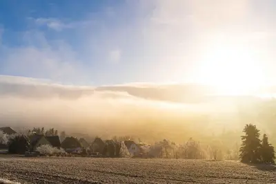 Naturlandschaft in der Nähe der Ferienwohnung
