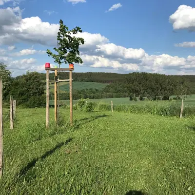 Naturlandschaft in der Nähe der Ferienwohnung