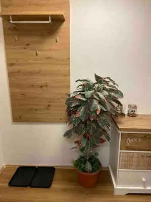 Grundriss der Unterkunft Cozy Suite Dresden