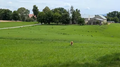 Naturlandschaft in der Nähe der Ferienwohnung