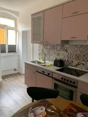 Küche/Küchenzeile in der Unterkunft Apartments SMAG Barbiergasse