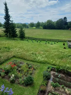 Ein Garten an der Unterkunft Haus Falkensteinblick