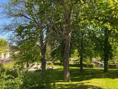 Ein Garten an der Unterkunft Domizil Eutschützblick