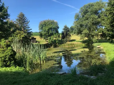 Naturlandschaft in der Nähe des Ferienhauses