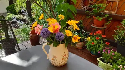 Ein Garten an der Unterkunft Ferienwohnung Ankert