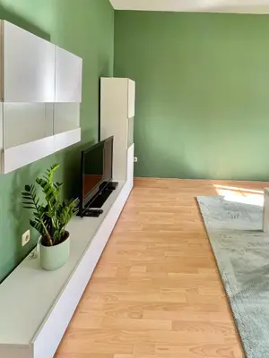 TV/Unterhaltungsangebot in der Unterkunft Ferienwohnung am Rathaus