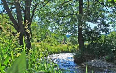 Naturlandschaft in der Nähe der Ferienwohnung