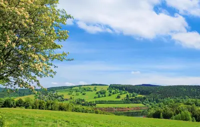 Naturlandschaft in der Nähe der Ferienwohnung