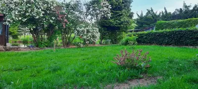 Ein Garten an der Unterkunft Zum Jagdsteinblick