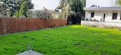 Ein Garten an der Unterkunft Haus Kleiner Findling im Lausitzer Seenland