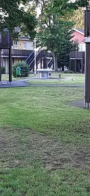 Ein Garten an der Unterkunft Ankes Fewo im Wohnpark Uninah in Freiberg