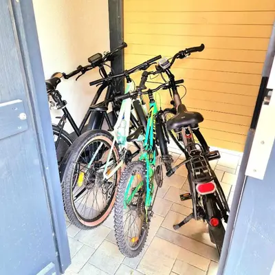 Radfahren an der Unterkunft Bett und Bike Bergen oder in der Nähe