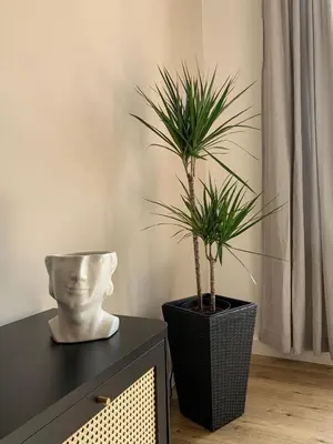 Grundriss der Unterkunft Stylisches Appartement im Jugendstil-Viertel