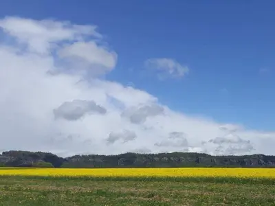 Naturlandschaft in der Nähe des Ferienhauses