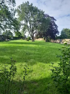 Ein Garten an der Unterkunft Residieren im barocken Herrenhaus Pannewitz