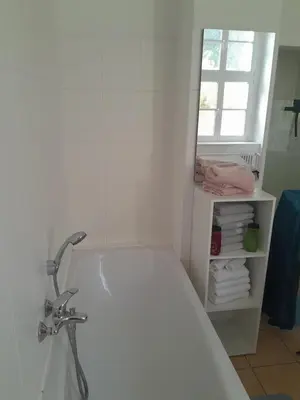 Ein Badezimmer in der Unterkunft Residieren im barocken Herrenhaus Pannewitz