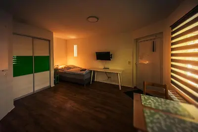 TV/Unterhaltungsangebot in der Unterkunft GottwaldHaus-Freiberg-Apartment C