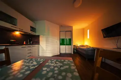 Ein Bett oder Betten in einem Zimmer der Unterkunft GottwaldHaus-Freiberg-Apartment E