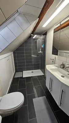 Ein Badezimmer in der Unterkunft Gemütliche Wohnscheune