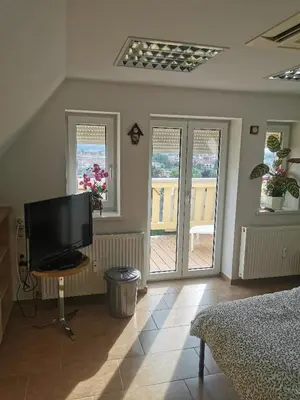 TV/Unterhaltungsangebot in der Unterkunft Ferienwohnung Dresden-Trachenberge-Stadtblick