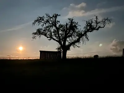 Blick auf den Sonnenuntergang/Sonnenaufgang von der Ferienwohnung aus oder aus der Nähe