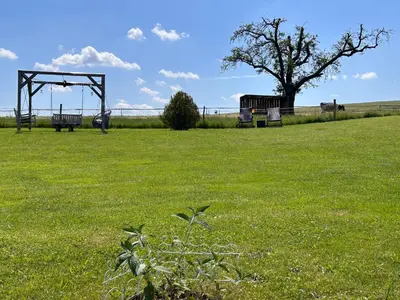 Ein Garten an der Unterkunft Ferienhaus in Papstdorf Sächsische Schweiz 17