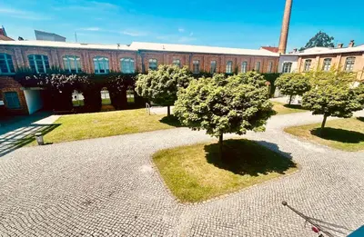 Ein Garten an der Unterkunft Richter Apartments Finsterwalde 4