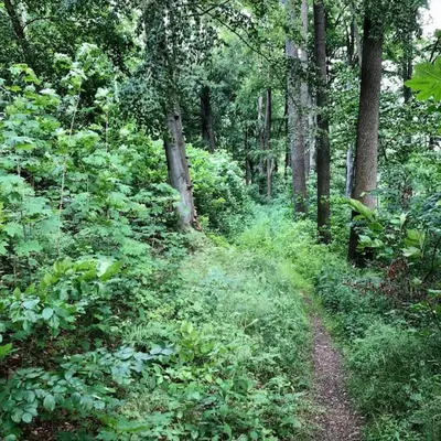 Naturlandschaft in der Nähe der Ferienwohnung