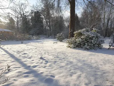 Altes Forsthaus Laubusch im Winter