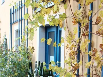 Ein Garten an der Unterkunft 