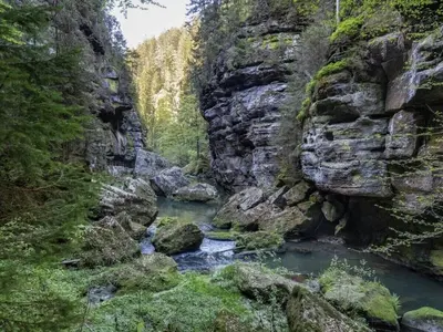 Naturlandschaft in der Nähe des Ferienhauses