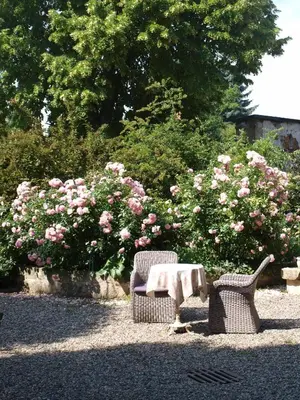 Ein Garten an der Unterkunft Pension zur Königlichen Ausspanne Dresden