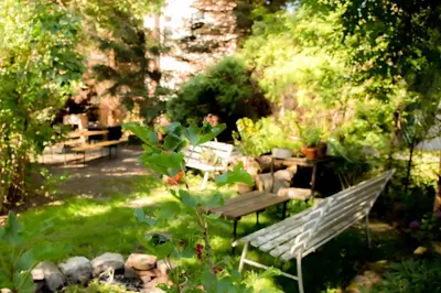 Ein Garten an der Unterkunft Ferienwohnung Winternest