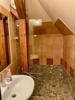 Ein Badezimmer in der Unterkunft Dachgeschossloft mit Aussicht ins Erzgebirge