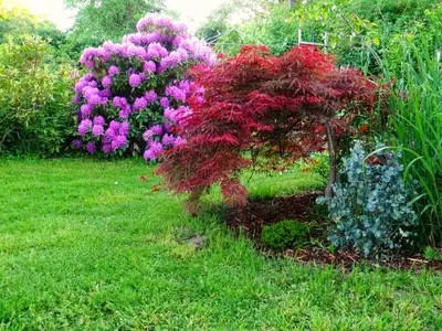 Ein Garten an der Unterkunft Ferienwohnung Sobrigau