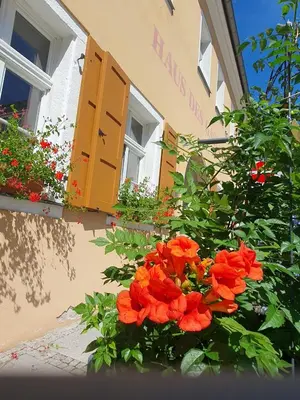 Ein Garten an der Unterkunft Am Springbrunnen