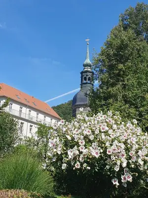 Ein Garten an der Unterkunft Am Springbrunnen