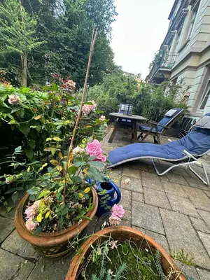 Ein Garten an der Unterkunft Am Springbrunnen